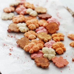 Pumpkin Recipes - Pumpkin Spice Spritz Cookies by Diethood